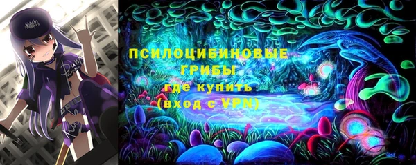 ешки Абаза