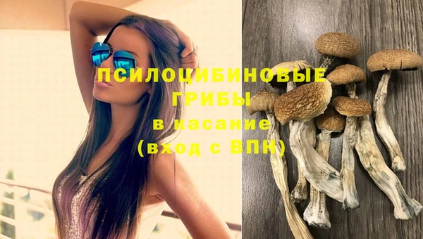 а пвп мука Абдулино