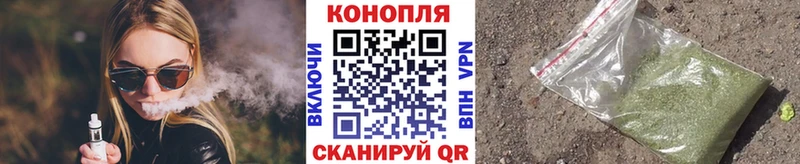 как найти Судогда KRAKEN зеркало Каннабис ГИДРОПОН